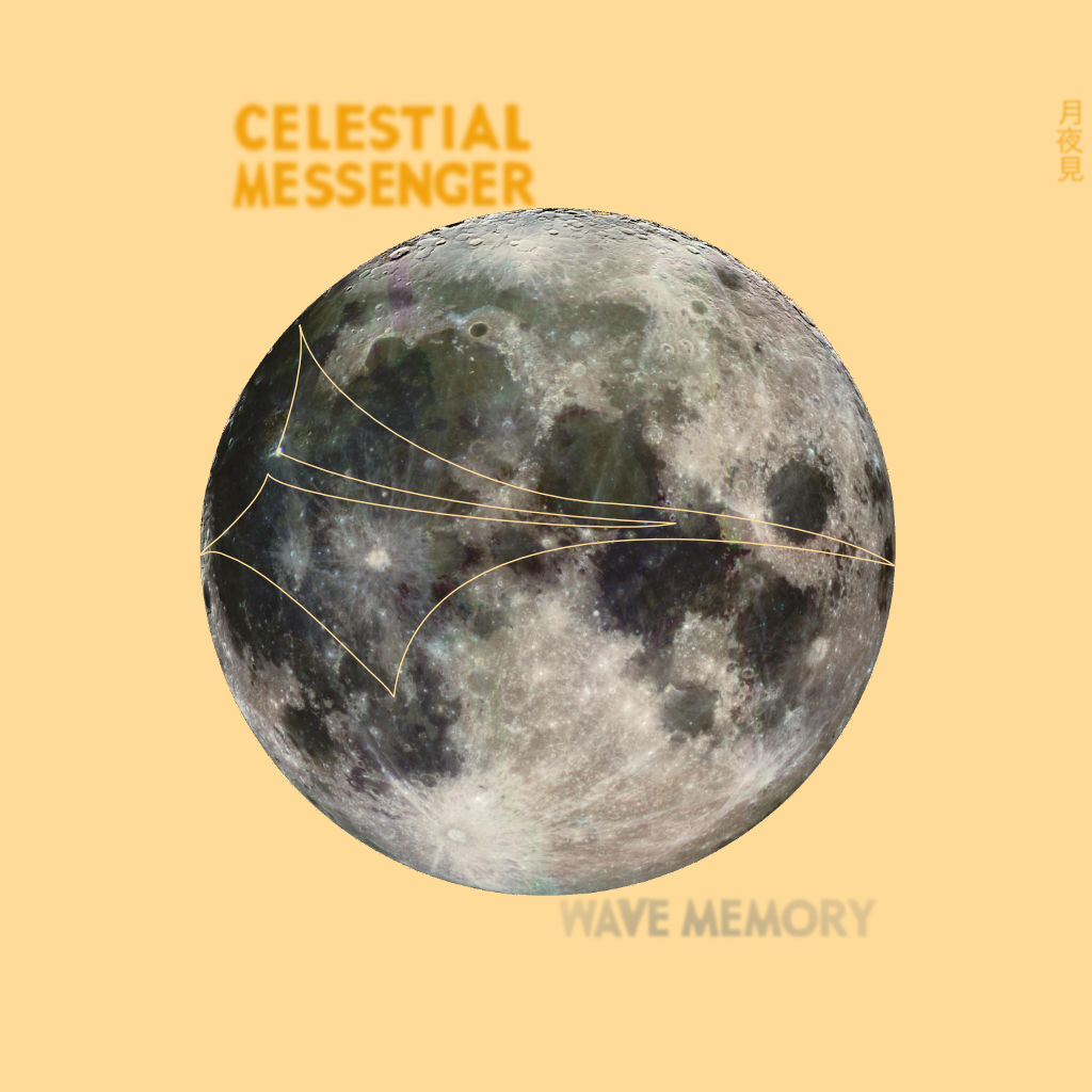 Wave Memory album cover